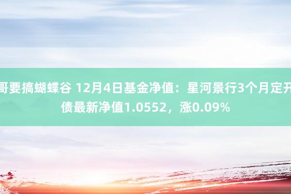 哥要搞蝴蝶谷 12月4日基金净值：星河景行3个月定开债最新净值1.0552，涨0.09%