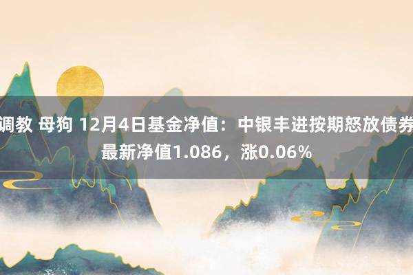 调教 母狗 12月4日基金净值：中银丰进按期怒放债券最新净值1.086，涨0.06%