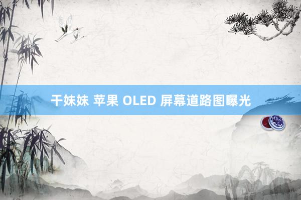 干妹妹 苹果 OLED 屏幕道路图曝光