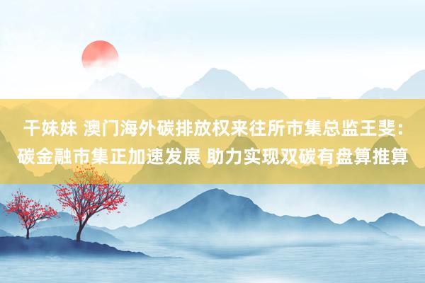 干妹妹 澳门海外碳排放权来往所市集总监王斐：碳金融市集正加速发展 助力实现双碳有盘算推算