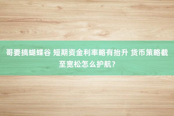 哥要搞蝴蝶谷 短期资金利率略有抬升 货币策略截至宽松怎么护航？