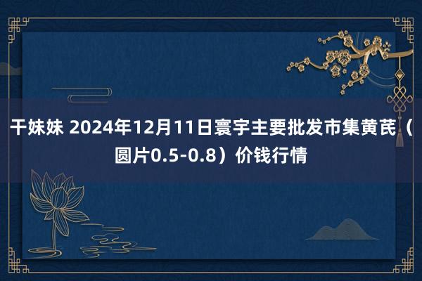 干妹妹 2024年12月11日寰宇主要批发市集黄芪（圆片0.5-0.8）价钱行情