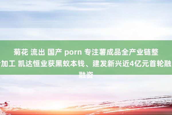 菊花 流出 国产 porn 专注薯成品全产业链整合加工 凯达恒业获黑蚁本钱、建发新兴近4亿元首轮融资