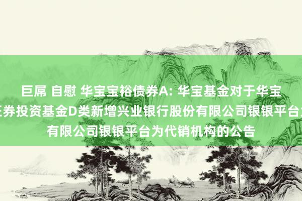 巨屌 自慰 华宝宝裕债券A: 华宝基金对于华宝宝裕纯债债券型证券投资基金D类新增兴业银行股份有限公司银银平台为代销机构的公告