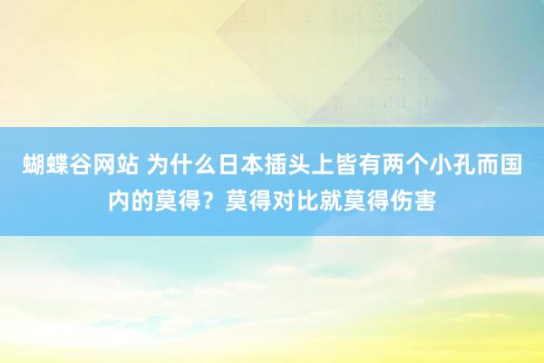 蝴蝶谷网站 为什么日本插头上皆有两个小孔而国内的莫得？莫得对比就莫得伤害