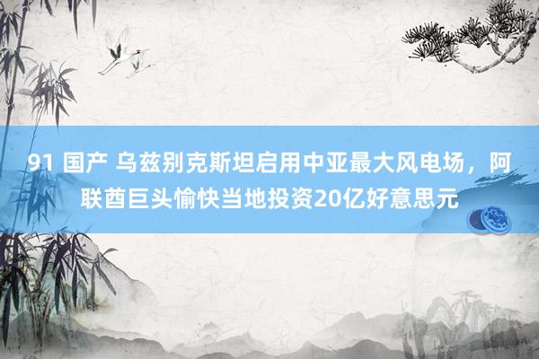 91 国产 乌兹别克斯坦启用中亚最大风电场，阿联酋巨头愉快当地投资20亿好意思元