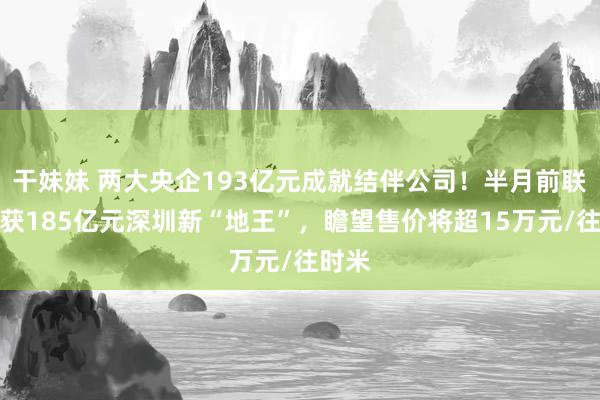 干妹妹 两大央企193亿元成就结伴公司！半月前联手斩获185亿元深圳新“地王”，瞻望售价将超15万元/往时米