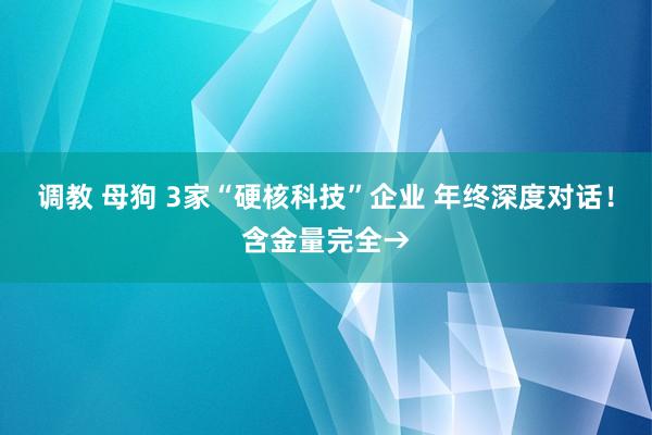 调教 母狗 3家“硬核科技”企业 年终深度对话！含金量完全→