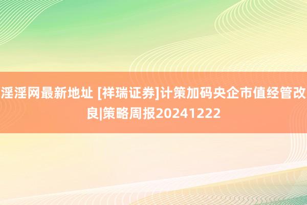 淫淫网最新地址 [祥瑞证券]计策加码央企市值经管改良|策略周报20241222