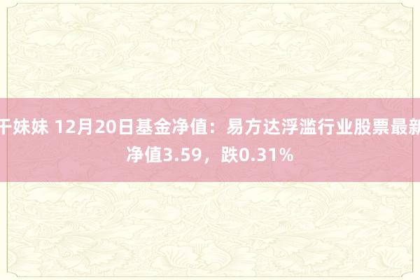 干妹妹 12月20日基金净值：易方达浮滥行业股票最新净值3.59，跌0.31%