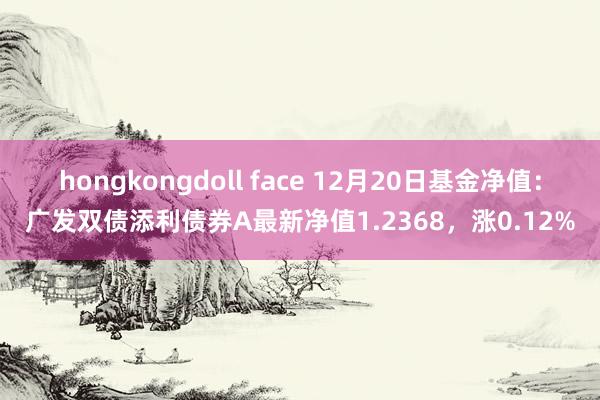 hongkongdoll face 12月20日基金净值：广发双债添利债券A最新净值1.2368，涨0.12%