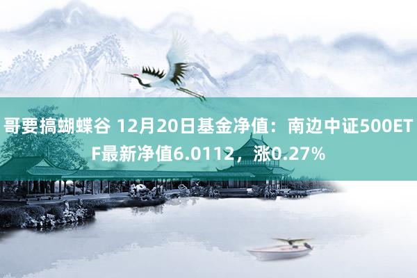 哥要搞蝴蝶谷 12月20日基金净值：南边中证500ETF最新净值6.0112，涨0.27%