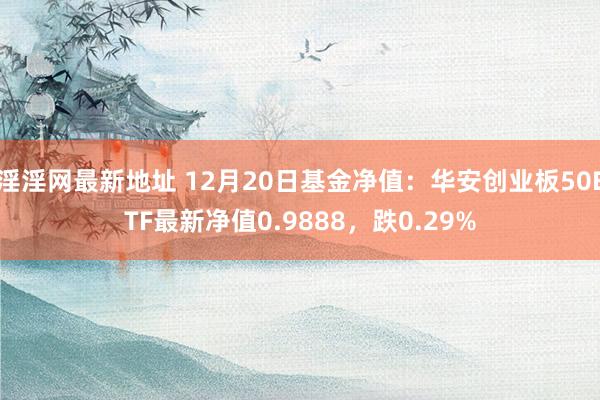 淫淫网最新地址 12月20日基金净值：华安创业板50ETF最新净值0.9888，跌0.29%