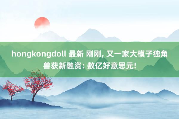 hongkongdoll 最新 刚刚， 又一家大模子独角兽获新融资: 数亿好意思元!