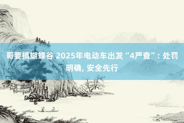 哥要搞蝴蝶谷 2025年电动车出发“4严查”: 处罚明确， 安全先行