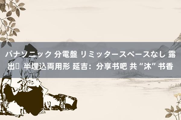 パナソニック 分電盤 リミッタースペースなし 露出・半埋込両用形 延吉：分享书吧 共“沐”书香