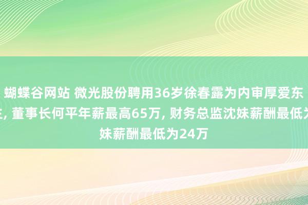 蝴蝶谷网站 微光股份聘用36岁徐春露为内审厚爱东说念主， 董事长何平年薪最高65万， 财务总监沈妹薪酬最低为24万