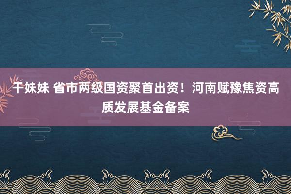 干妹妹 省市两级国资聚首出资！河南赋豫焦资高质发展基金备案