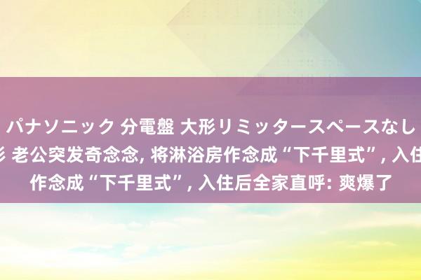 パナソニック 分電盤 大形リミッタースペースなし 露出・半埋込両用形 老公突发奇念念， 将淋浴房作念成“下千里式”， 入住后全家直呼: 爽爆了