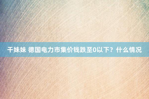 干妹妹 德国电力市集价钱跌至0以下？什么情况