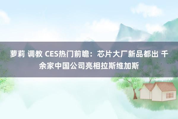 萝莉 调教 CES热门前瞻：芯片大厂新品都出 千余家中国公司亮相拉斯维加斯