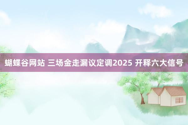 蝴蝶谷网站 三场金走漏议定调2025 开释六大信号