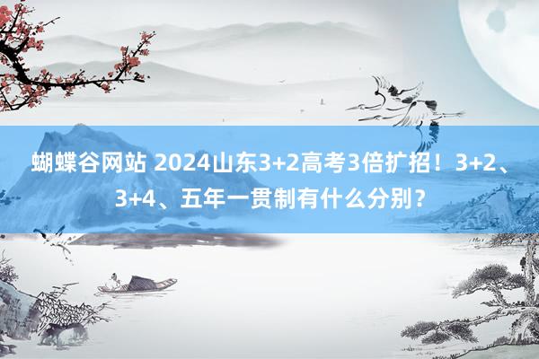 蝴蝶谷网站 2024山东3+2高考3倍扩招！3+2、3+4、五年一贯制有什么分别？