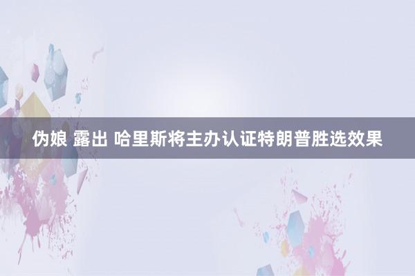 伪娘 露出 哈里斯将主办认证特朗普胜选效果