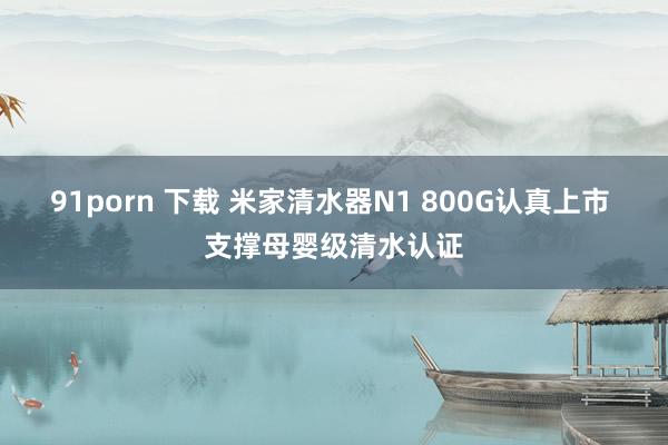 91porn 下载 米家清水器N1 800G认真上市 支撑母婴级清水认证