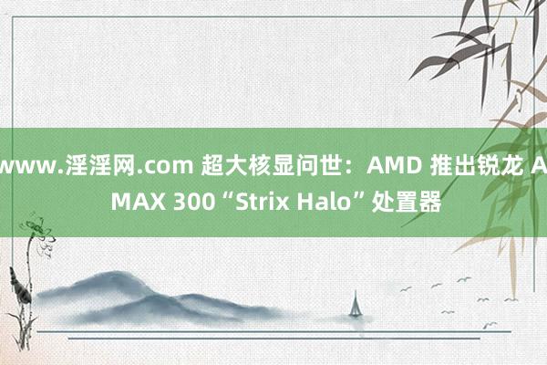 www.淫淫网.com 超大核显问世：AMD 推出锐龙 AI MAX 300“Strix Halo”处置器