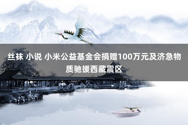 丝袜 小说 小米公益基金会捐赠100万元及济急物质驰援西藏震区