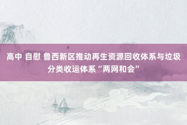 高中 自慰 鲁西新区推动再生资源回收体系与垃圾分类收运体系“两网和会”