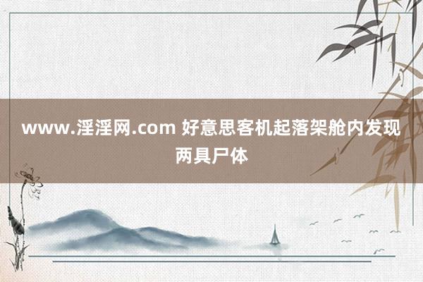 www.淫淫网.com 好意思客机起落架舱内发现两具尸体