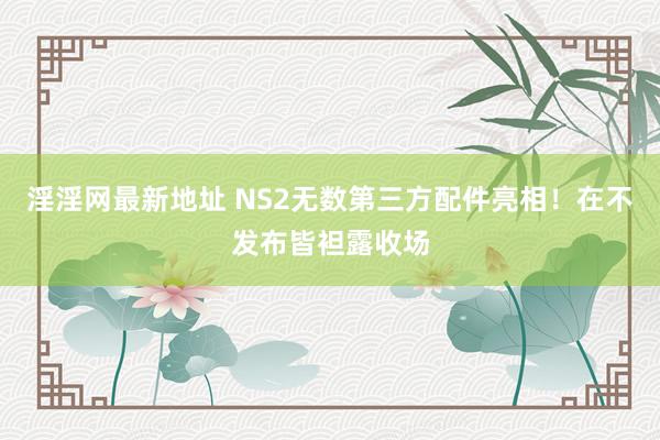 淫淫网最新地址 NS2无数第三方配件亮相！在不发布皆袒露收场