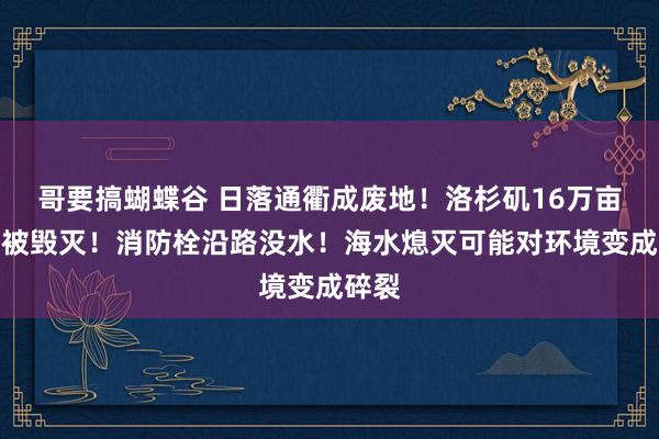 哥要搞蝴蝶谷 日落通衢成废地！洛杉矶16万亩地盘被毁灭！消防栓沿路没水！海水熄灭可能对环境变成碎裂