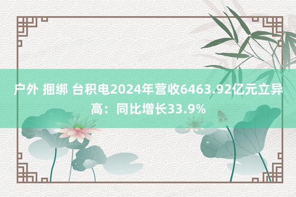 户外 捆绑 台积电2024年营收6463.92亿元立异高：同比增长33.9%