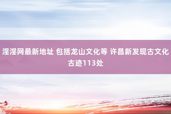 淫淫网最新地址 包括龙山文化等 许昌新发现古文化古迹113处