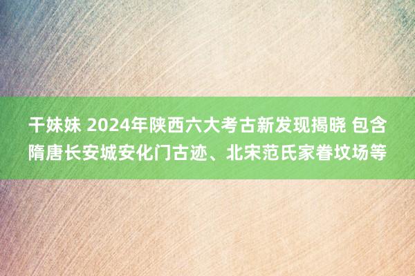 干妹妹 2024年陕西六大考古新发现揭晓 包含隋唐长安城安化门古迹、北宋范氏家眷坟场等