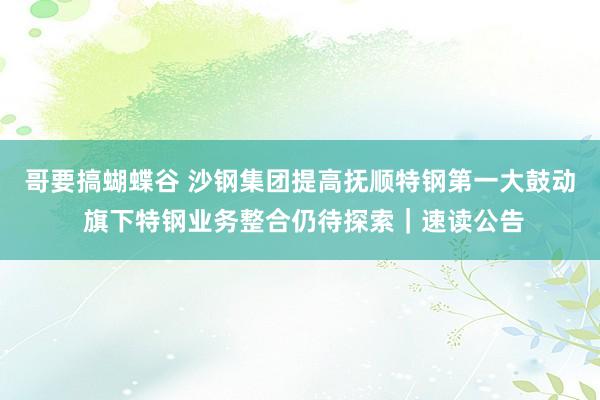 哥要搞蝴蝶谷 沙钢集团提高抚顺特钢第一大鼓动 旗下特钢业务整合仍待探索｜速读公告