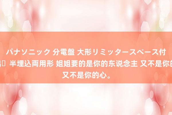 パナソニック 分電盤 大形リミッタースペース付 露出・半埋込両用形 姐姐要的是你的东说念主 又不是你的心。