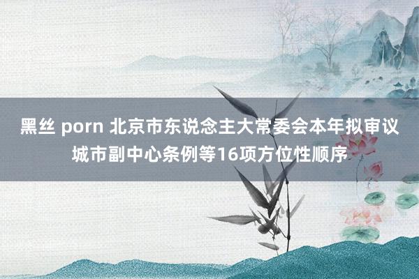 黑丝 porn 北京市东说念主大常委会本年拟审议城市副中心条例等16项方位性顺序