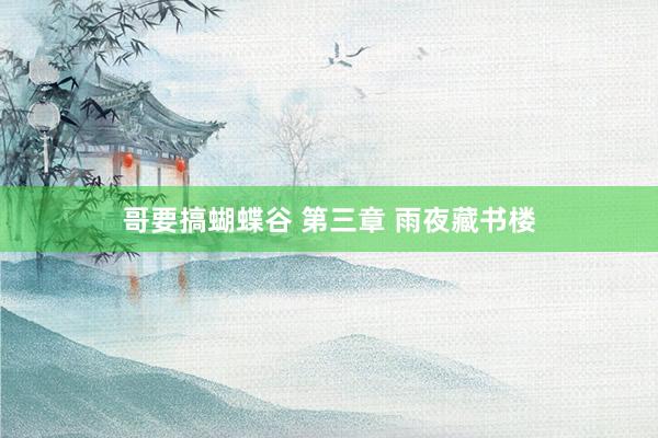 哥要搞蝴蝶谷 第三章 雨夜藏书楼